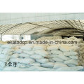 Feed Grade Mcp 22%